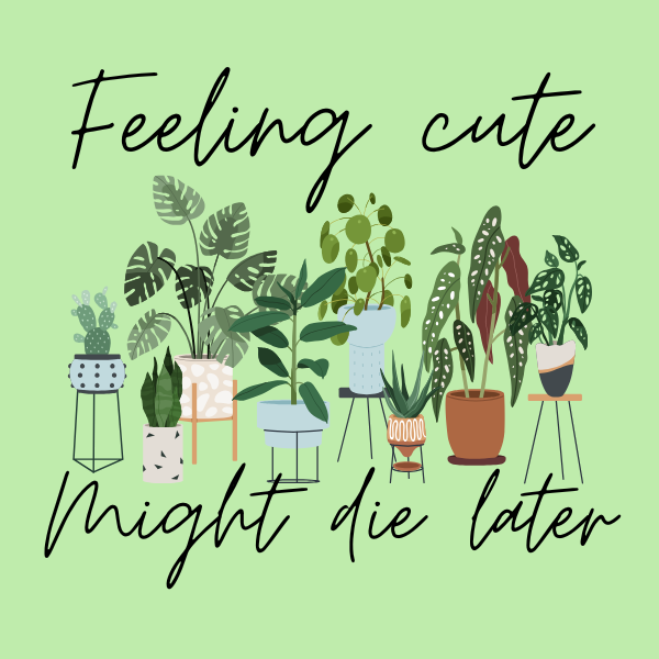 Plant novelties