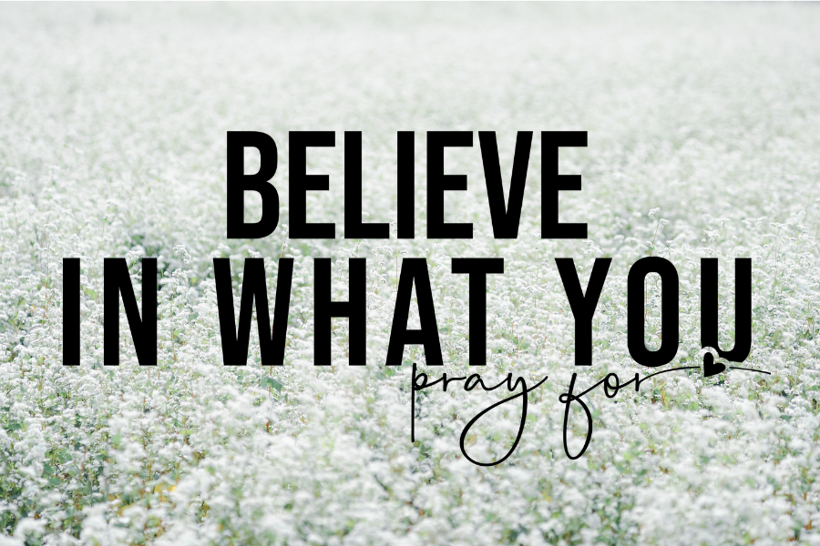 Nov-Faith-34