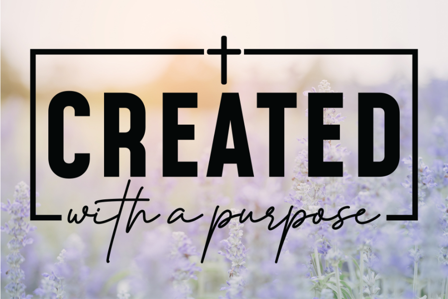 Nov-Faith-37