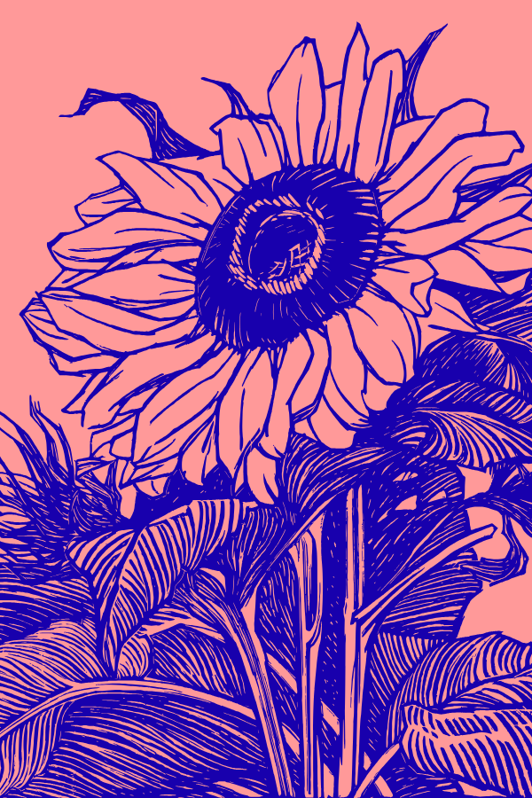Nov-Plant-07
