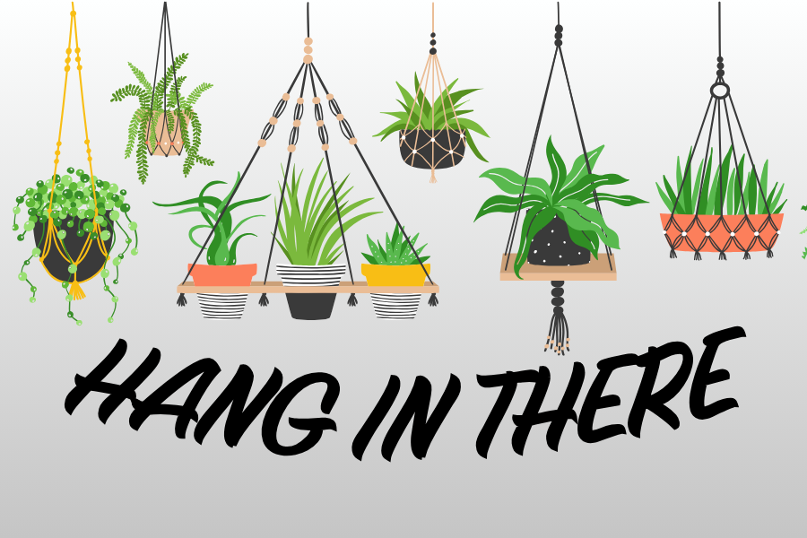 Nov-Plant-10