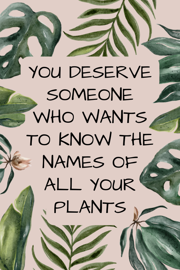 Nov-Plant-13
