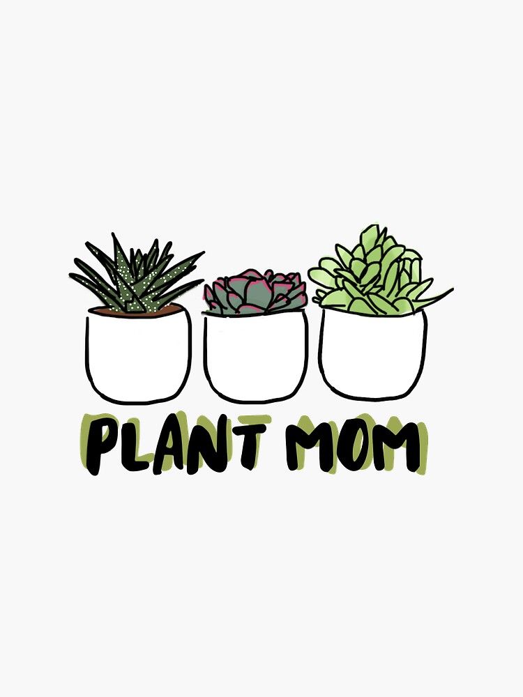 Nov-Plant-17