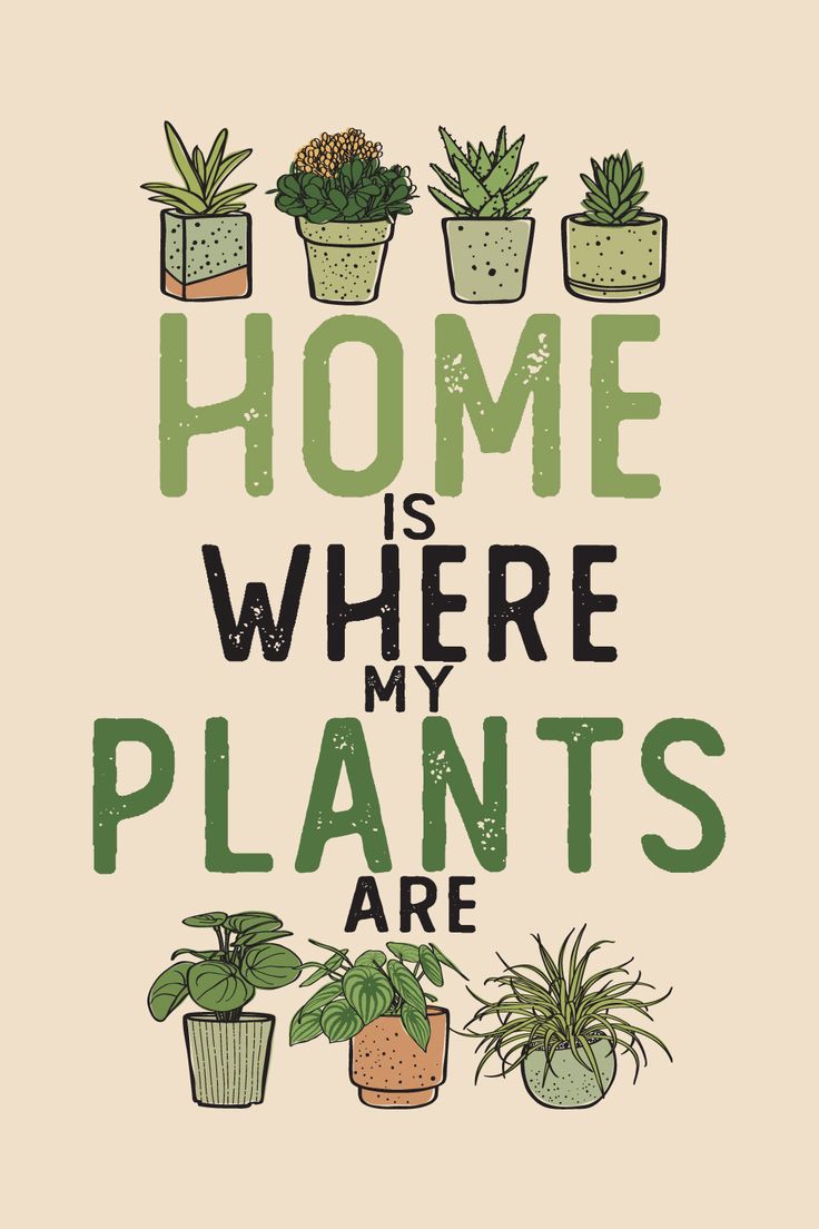 Nov-Plant-19