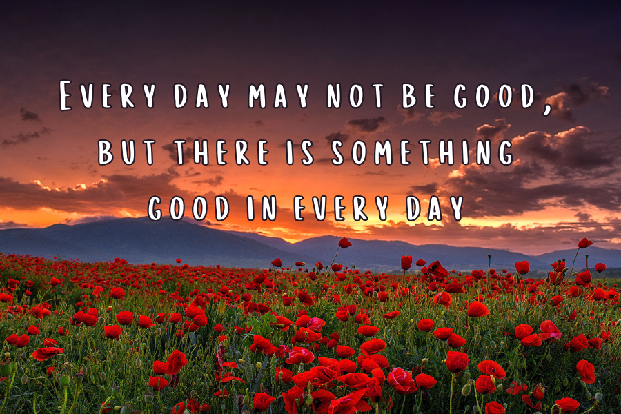 Nov-Quotes-11