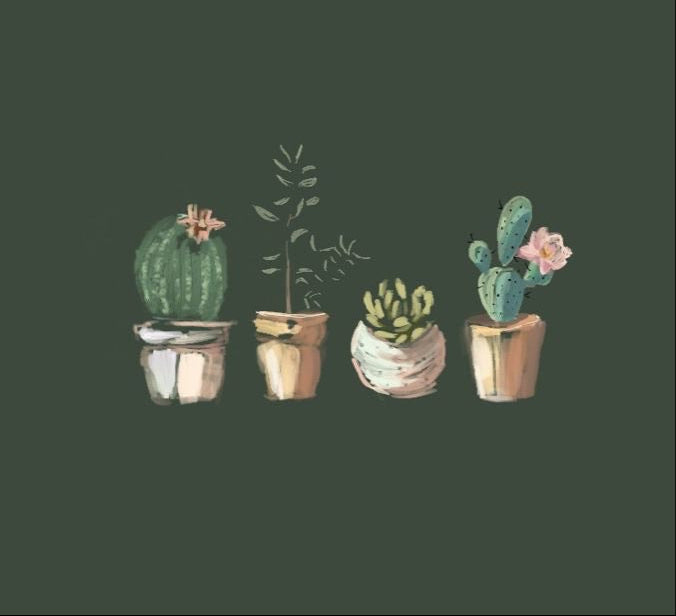 Succulents